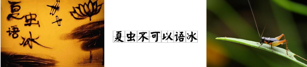 夏虫不可语冰|难论不论 难论原理 第1张