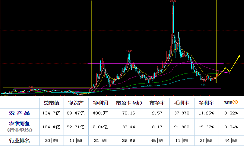 千股难评之农产品000061 难论实例 第1张